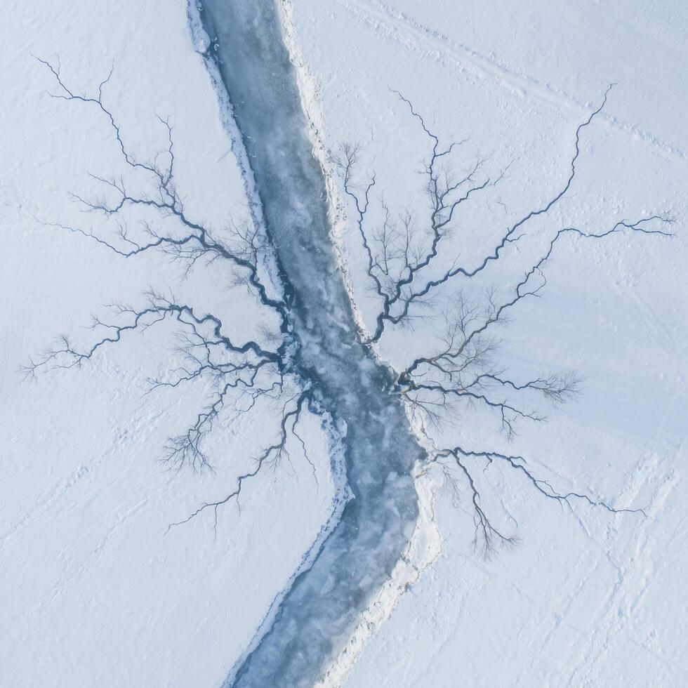 A Frozen River Forming an Abstract Network Pattern photo
