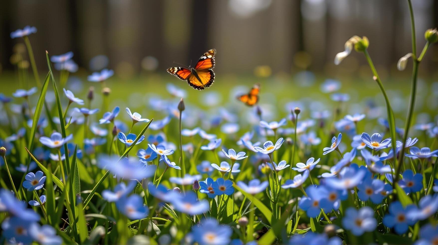 A downward plunge into the heart of the meadow reveals a stunning array of forget-me-nots, highlighted by sharp sunlight, while two butterflies spiral above, their playful dance embodying photo