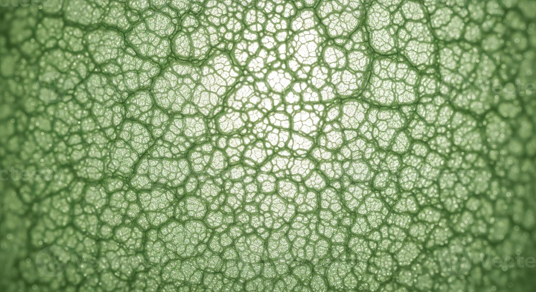 Microscopic Green Cellular Network Background Abstract Organic Cell Structure Texture Intricate Bio Web Pattern for Science Nature Concepts photo
