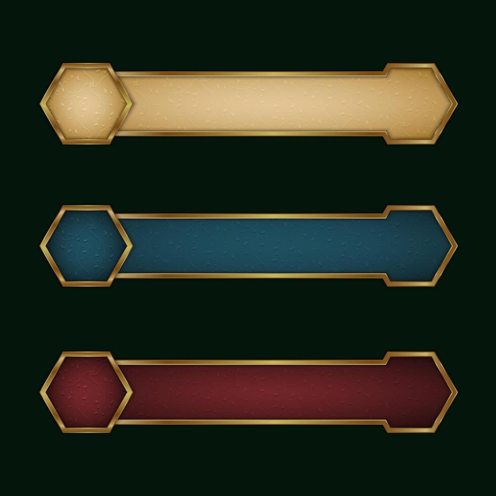 Three decorative hexagonal banners vector