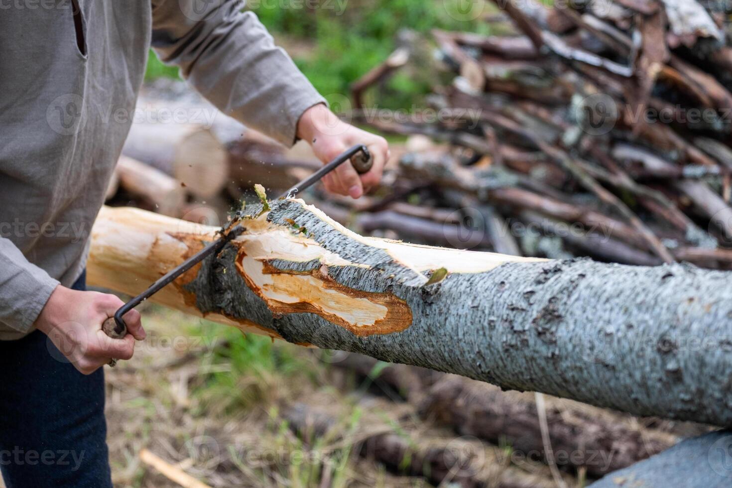 Craftsman using traditional axe to carve bark from log, showcasing woodwork skills and heritage craftsmanship in a natural outdoor setting with logs in background photo