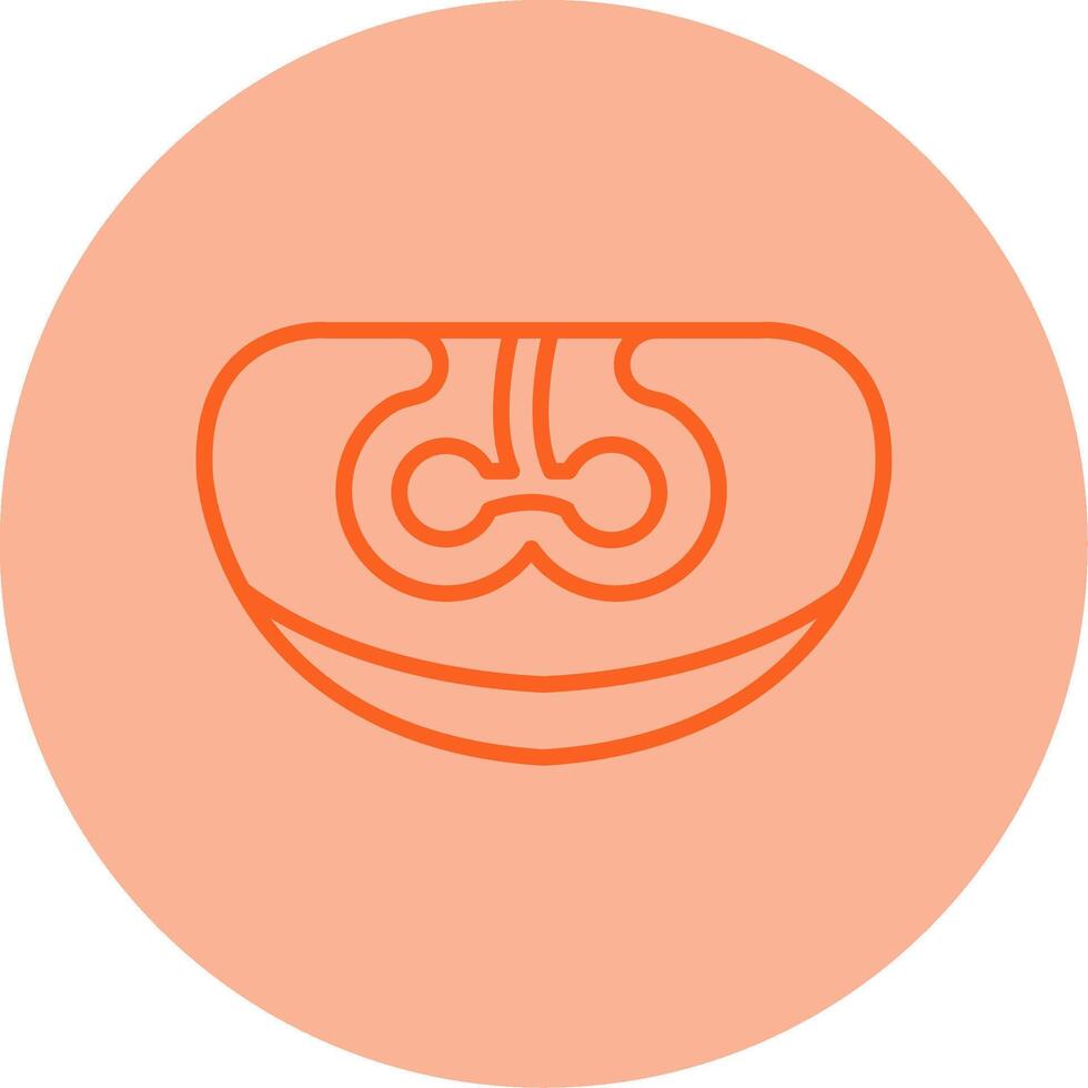 Digestive Enzyme Function Line Dual Tone Circle vector