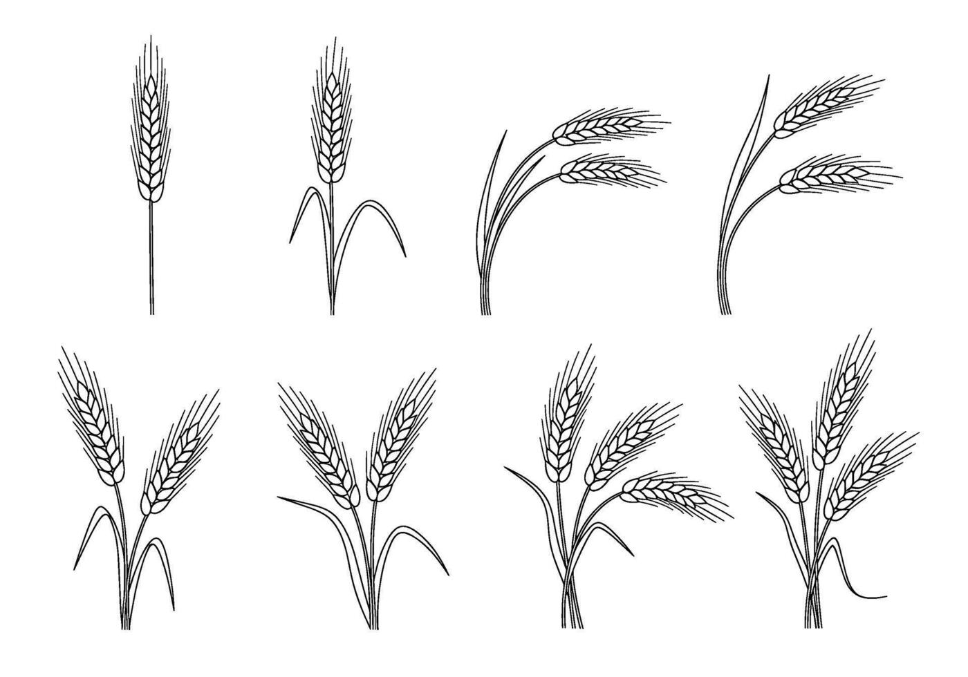 Elegant wheat stalks swaying gently in a field depicted as a minimalist line drawing evoking a sense of rustic simplicity and agricultural abundance vector