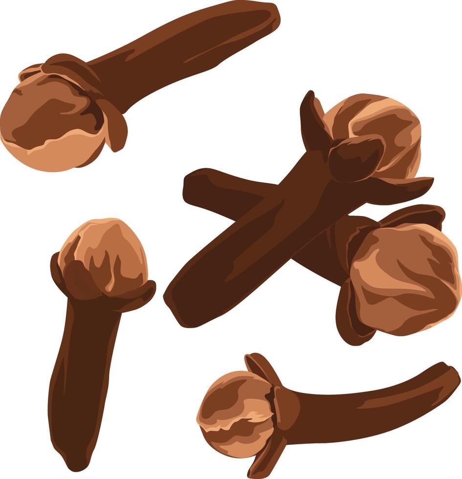 Illustration of several brown cloves scattered on a white background, showcasing their distinctive shape and texture. vector