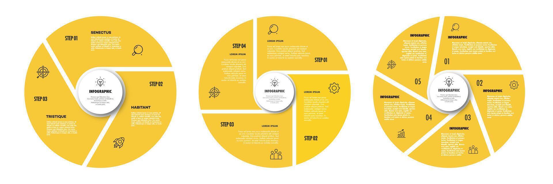 Circle chart infographic template set flat trendy style for presentation vector