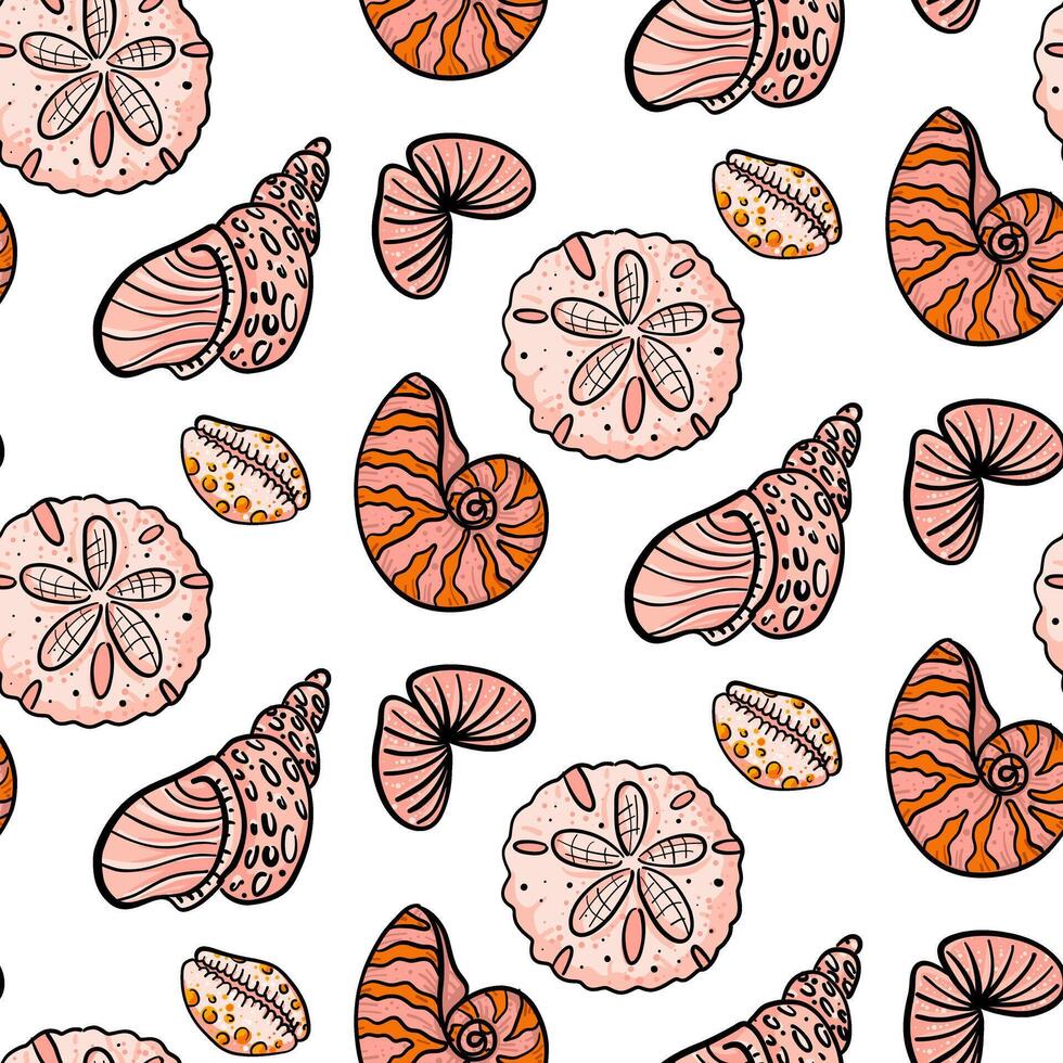 Colorful shell patterns on white background vector