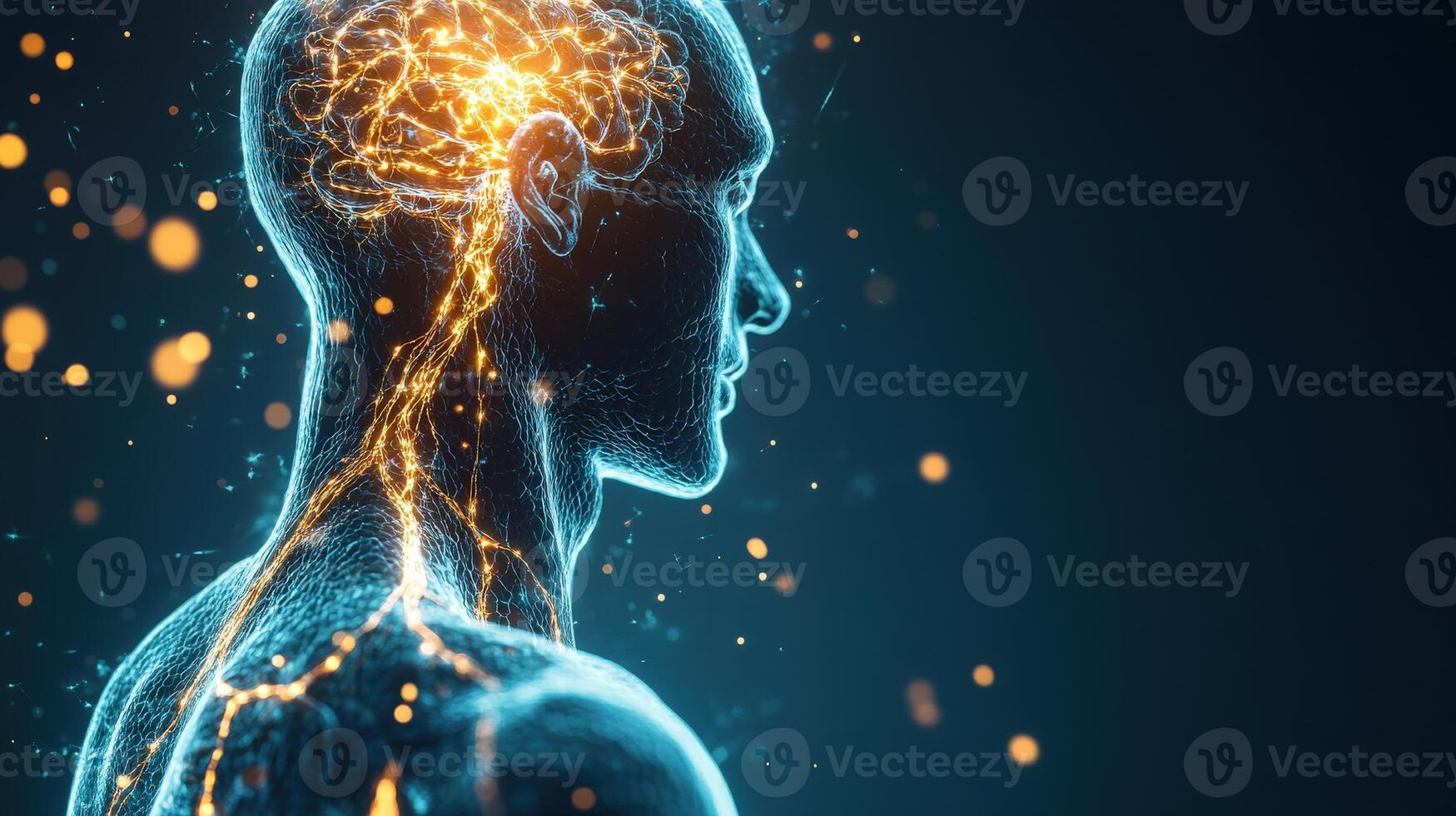 A man's brain is shown in a computer generated image photo