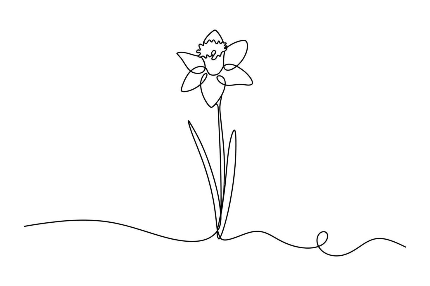 Elegant single line drawing of a daffodil flower with a winding stem on a white background vector