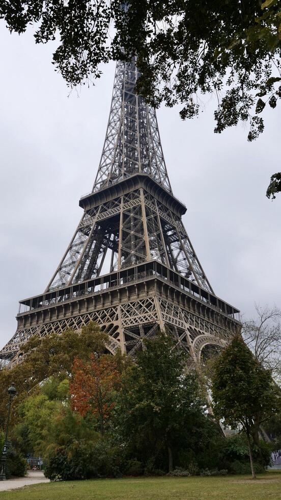 The eiffel tower is seen from behind a tree photo