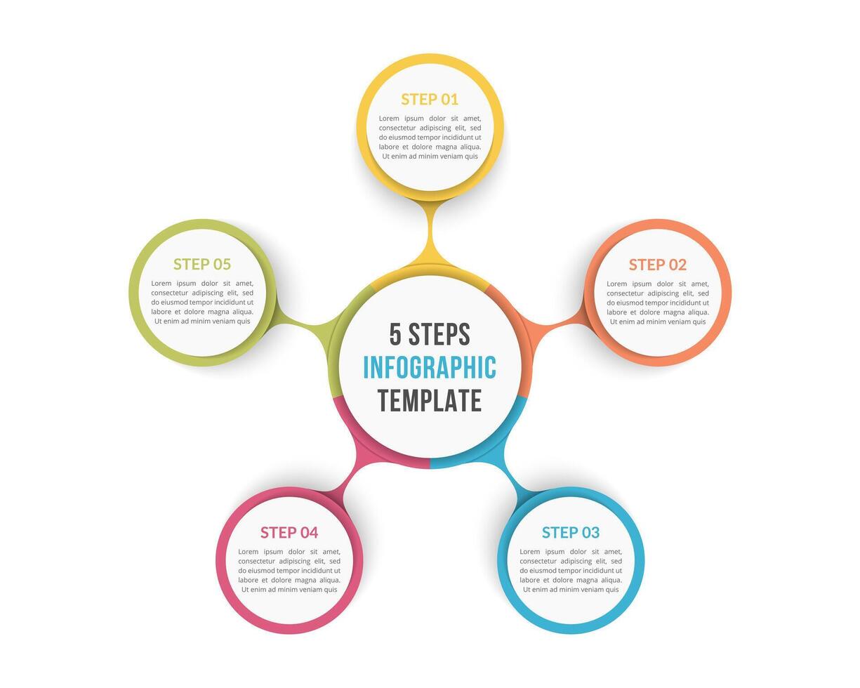 Circle infographic template with 5 steps or options, process chart vector