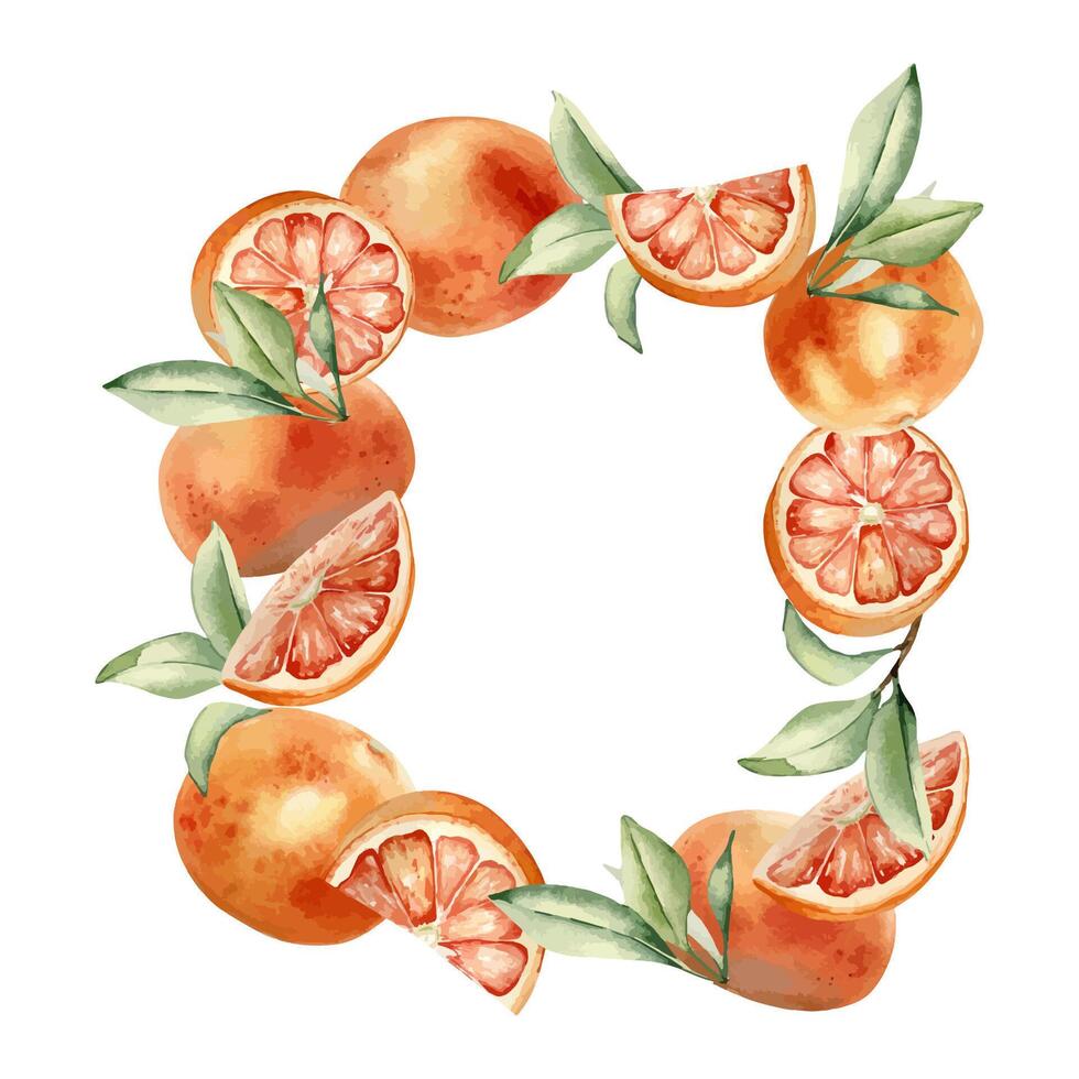 Watercolor frame of grapefruits and citrus segments, leaves isolated background. Square border with foliage and red orange fruits. Ripe fruits template with copy space for bright summer card, label vector