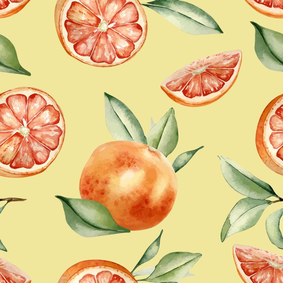 Citrus pattern with oranges and grapefruit vector