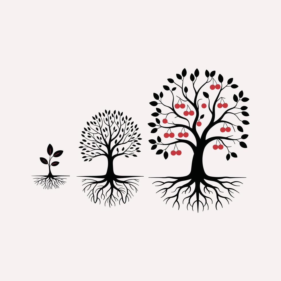 Three black trees with roots and red cherries in different growth stages seedling sapling vector
