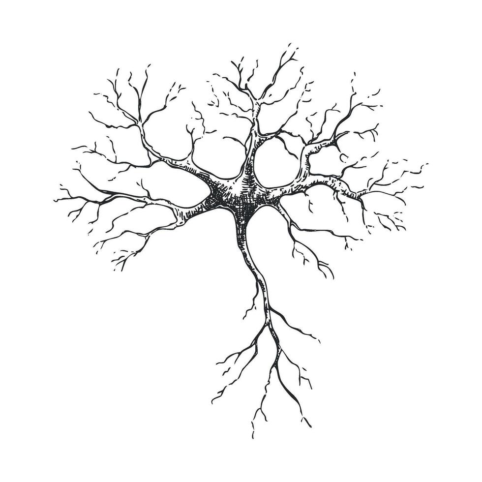 Intricate neural network design showcasing connectivity and structure vector