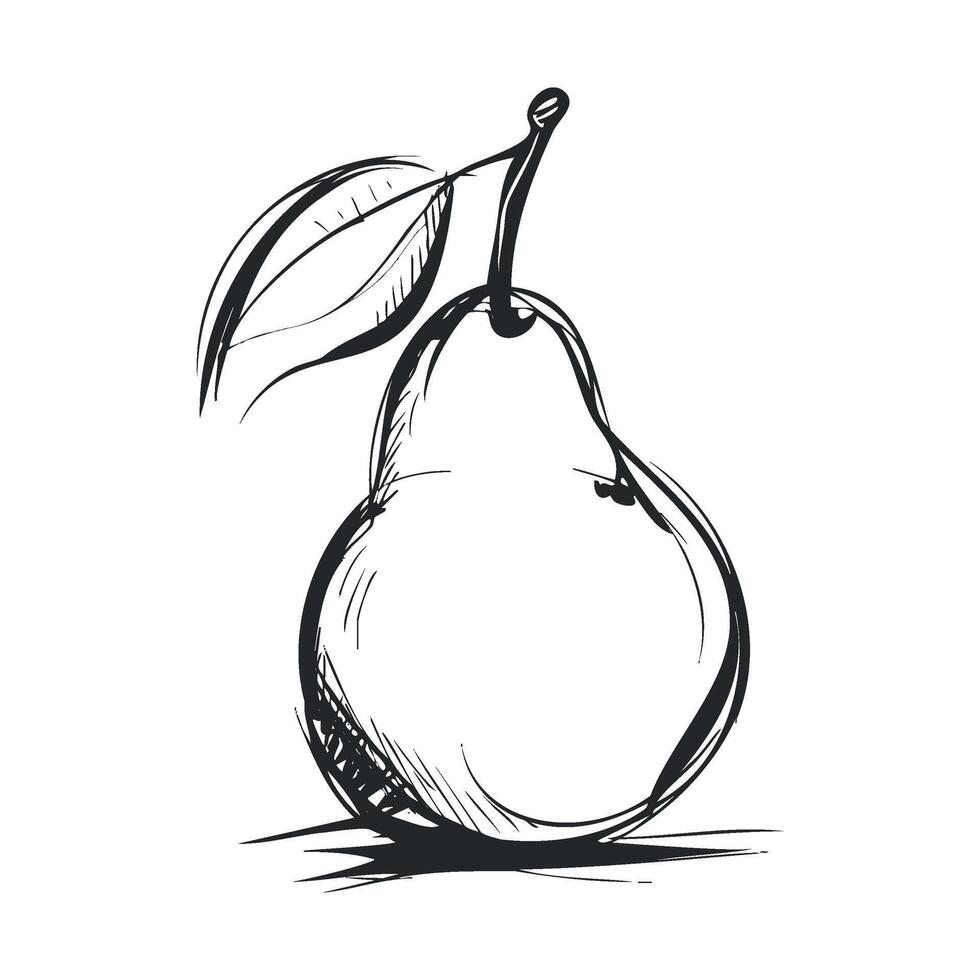 Sketch of a pear with a leaf for creative design projects vector