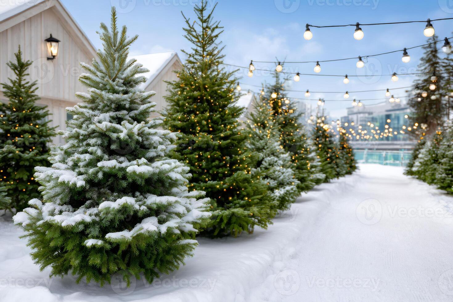 Snowy path with illuminated Christmas trees and string lights photo