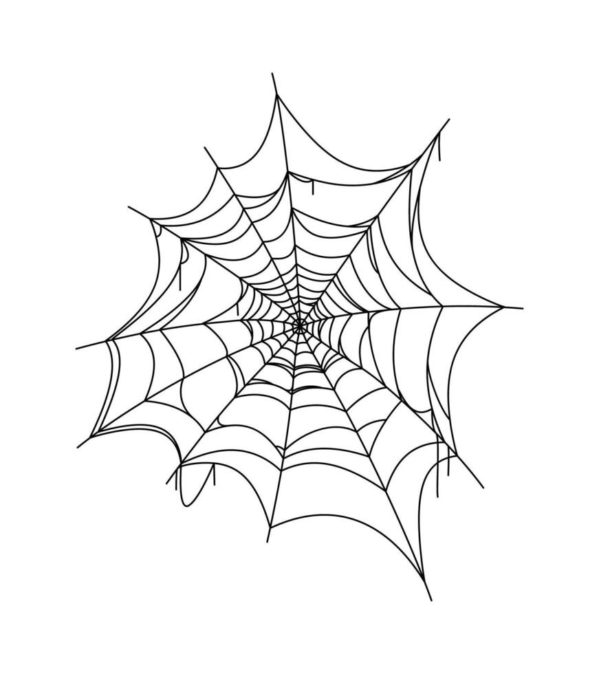 Cartoon Halloween spooky cobweb, spiderweb net vector