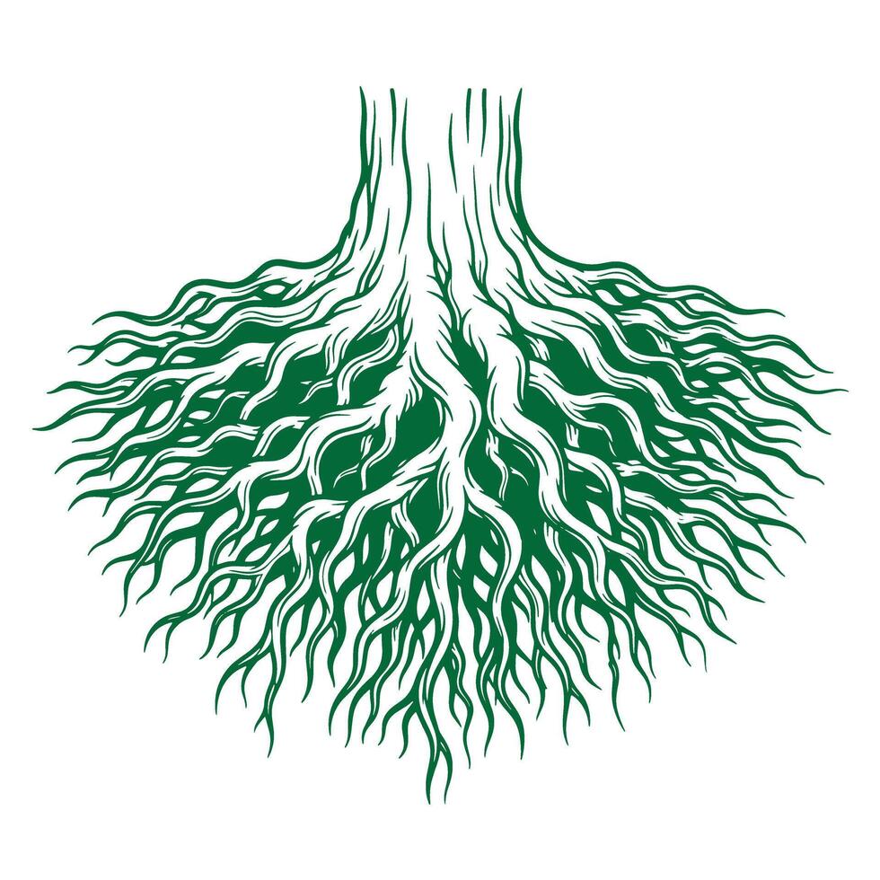 Artistic depiction of tree roots in green color on a clean white background artwork vector