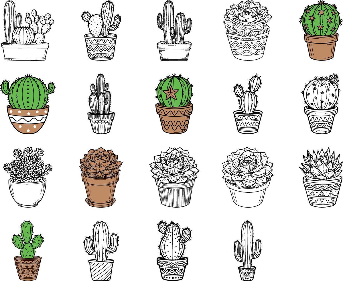 Collection of diverse hand drawn potted cacti and succulent plants featuring various patterned containers and unique styles vector