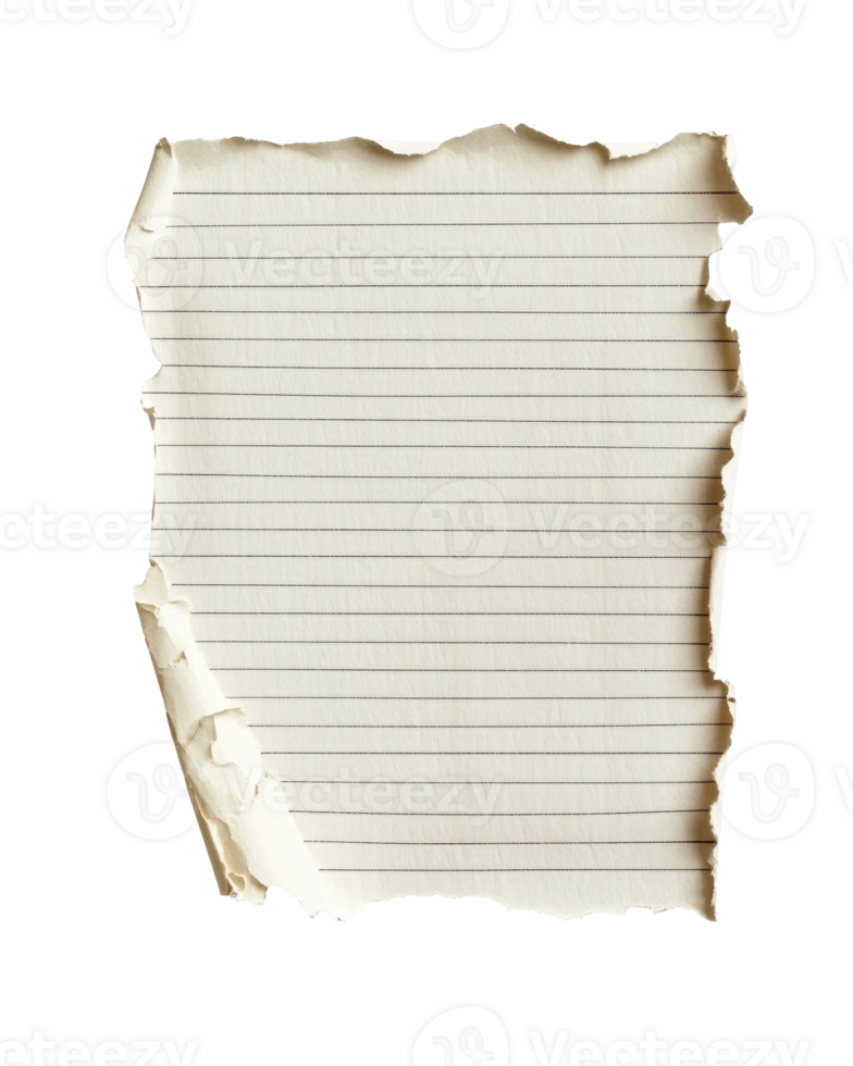 strappato taccuino carta frammento con strappato bordi su trasparente sfondo png
