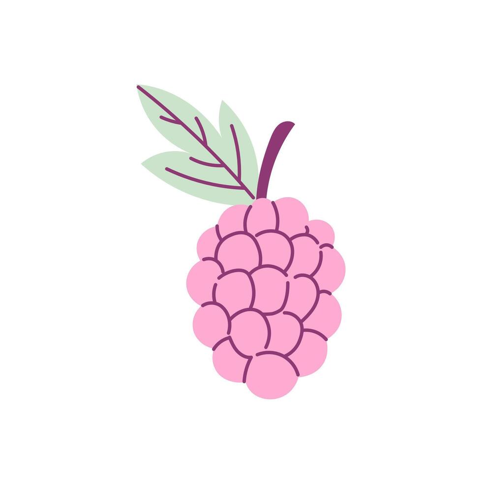 Hand drawn Raspberry with Leaf Icon vector