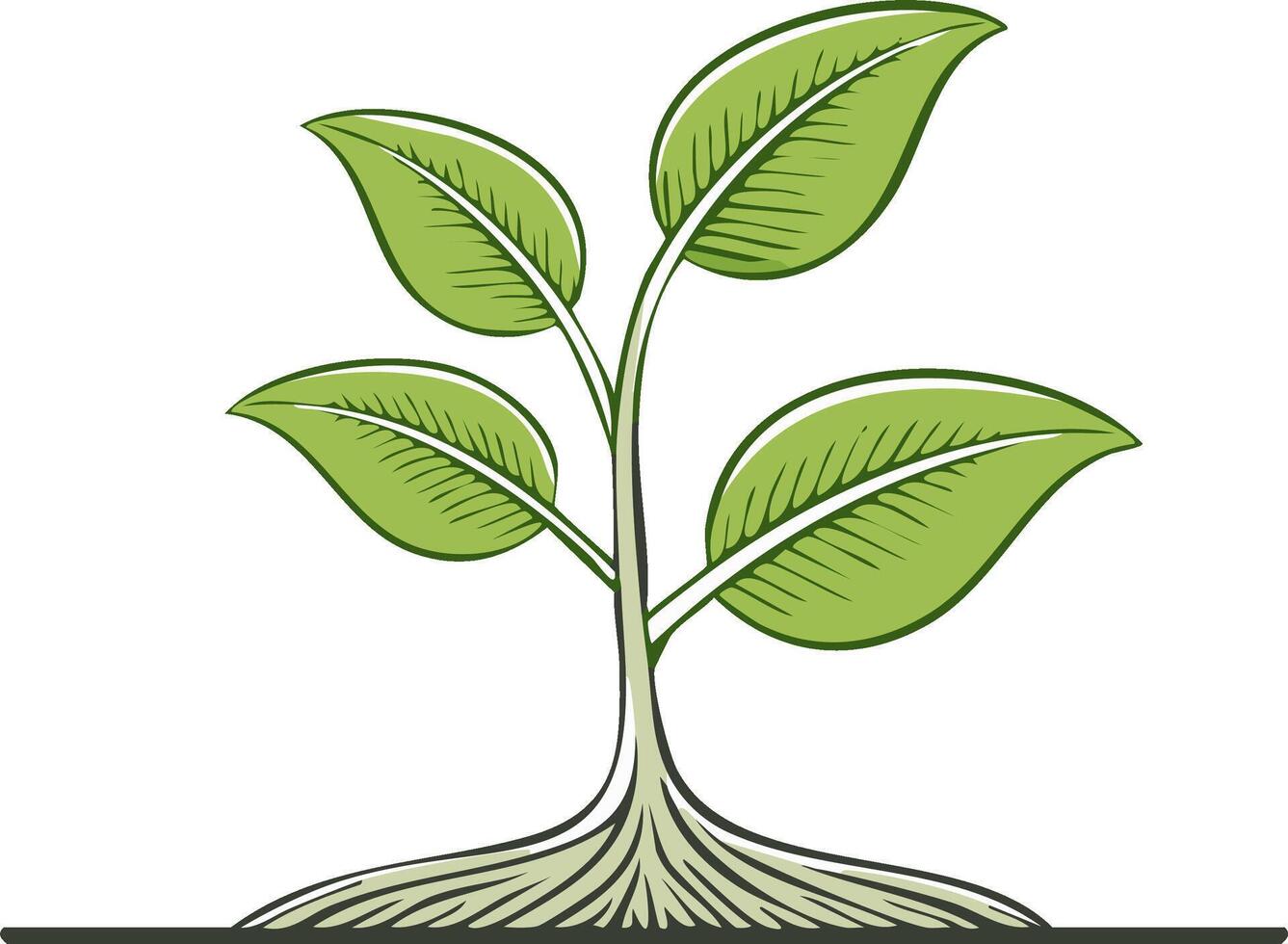 Green sprout with detailed root system, symbolizing new growth, environment conservation, and eco-friendly practices vector