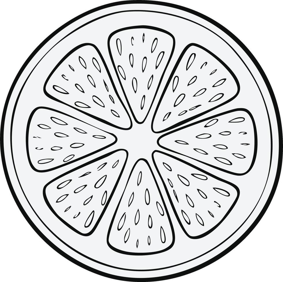 Black and white outline of a citrus fruit slice with segmented pulp and seeds vector