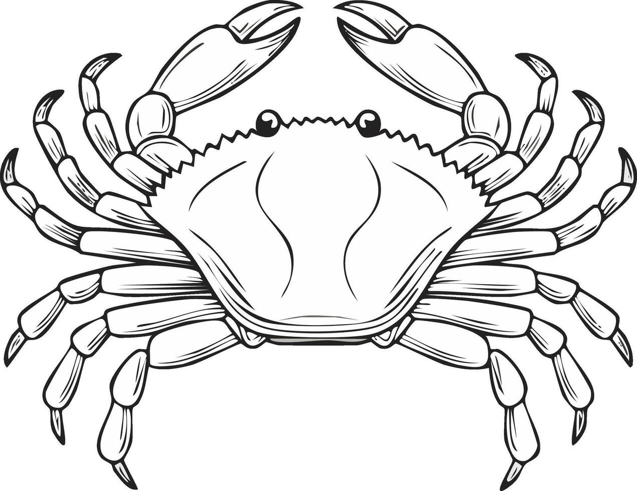 Stylized outline drawing of a crab with raised claws and multiple legs vector