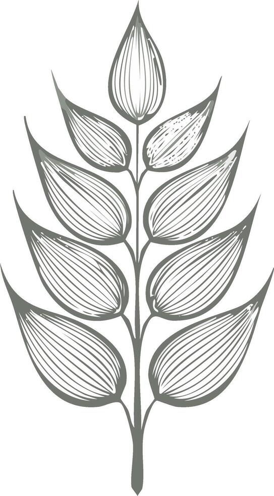 Elegant botanical illustration of a wheat stalk with stylized kernels and intricate line work detailing vector