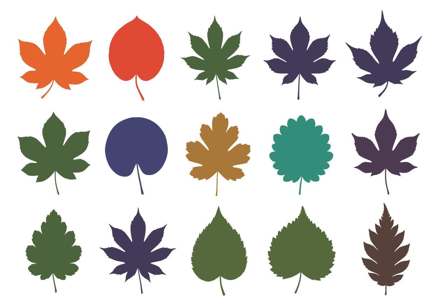 A collection of colorful and diverse autumn leaves in various shapes and sizes. vector