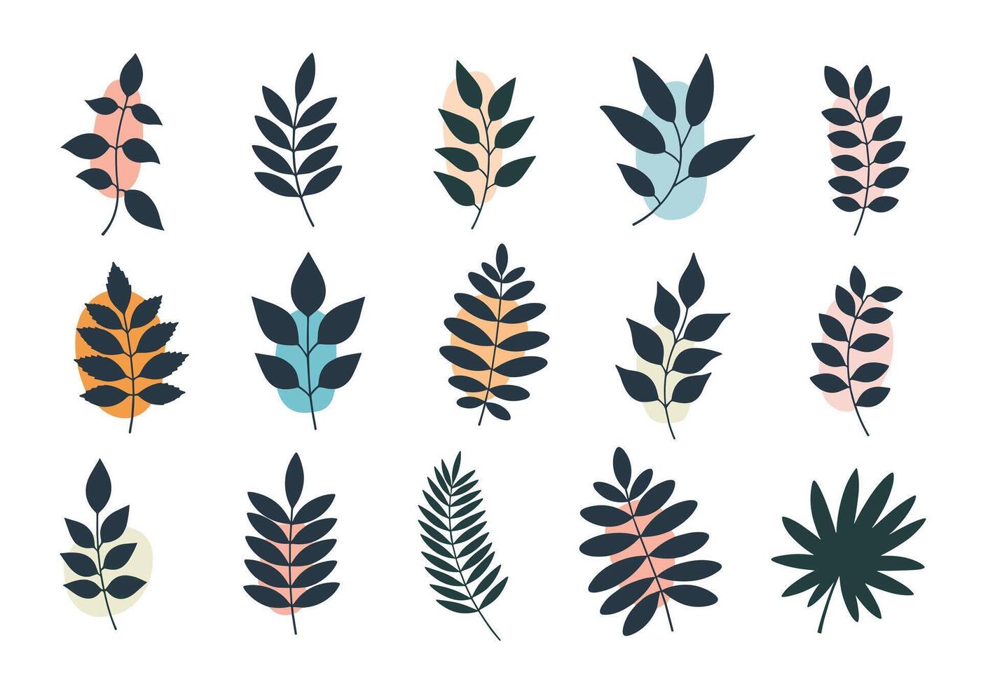 A beautiful collection of abstract botanical leaf illustrations with muted color backgrounds. vector