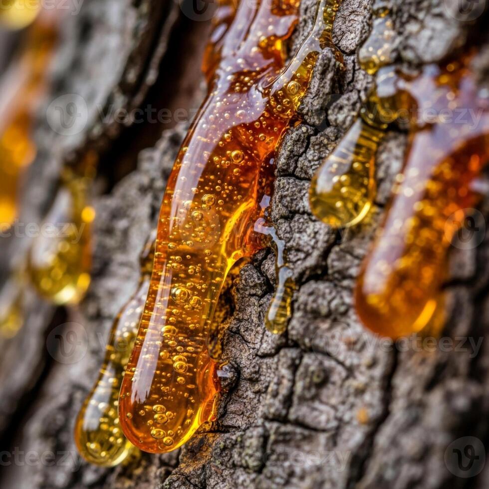 A close up of a tree trunk with some honey dripping from it photo