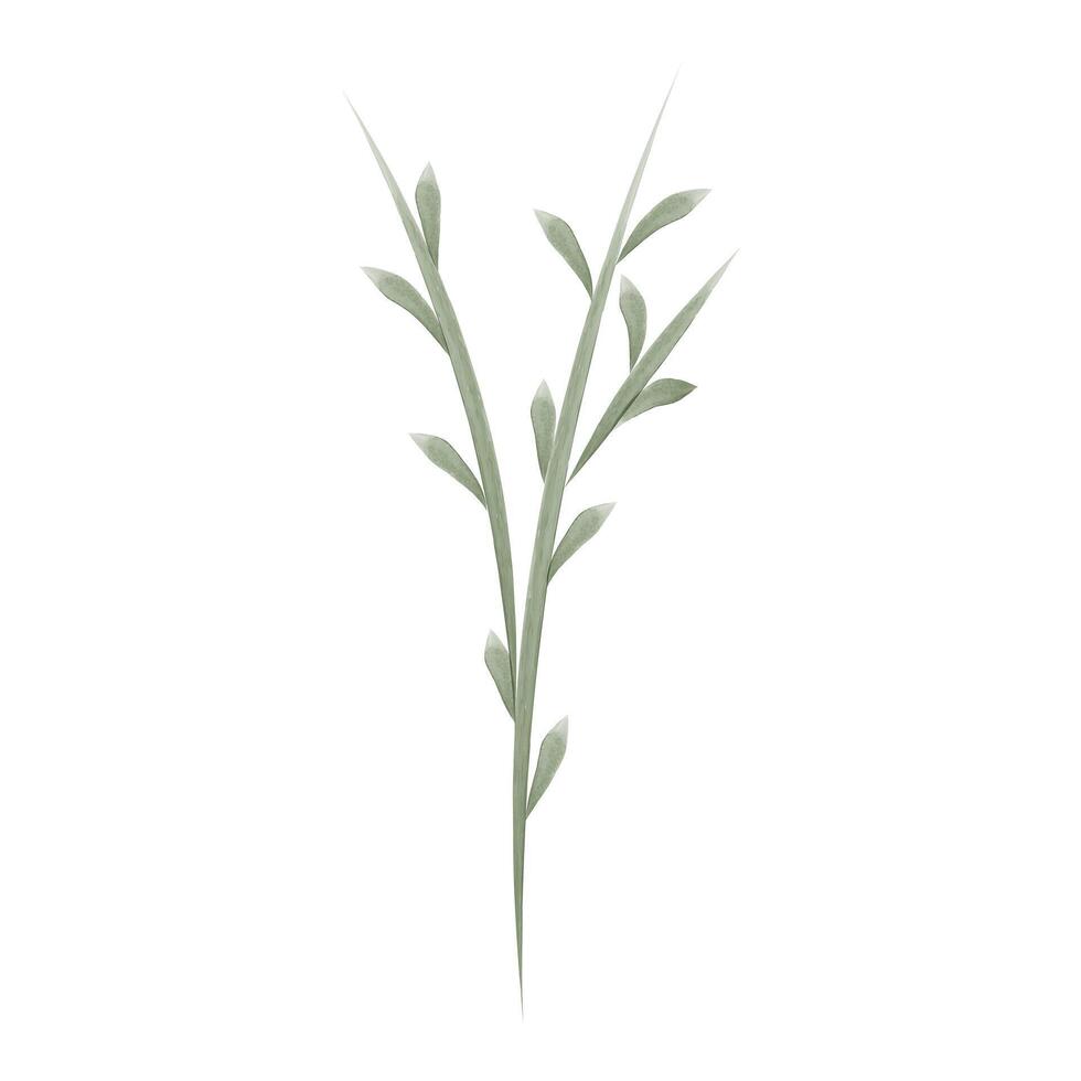 This is a watercolor-style graphic featuring a single, green flower stem with small leaves. It is isolated against a plain white background. vector