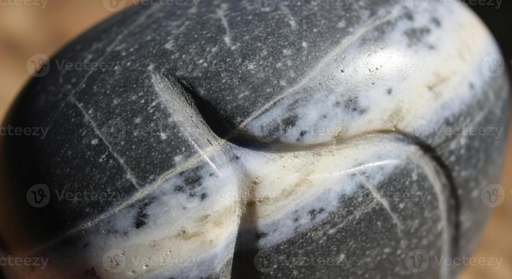 Close up of a smooth dark gray pebble with striking white and light gray mineral inclusions creating a unique abstract pattern photo