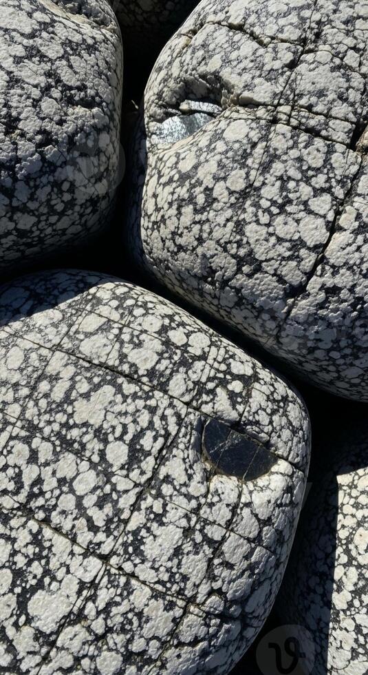 Close up view of large smooth rounded river rocks with intricate black and white speckled patterns creating a natural mosaic texture photo