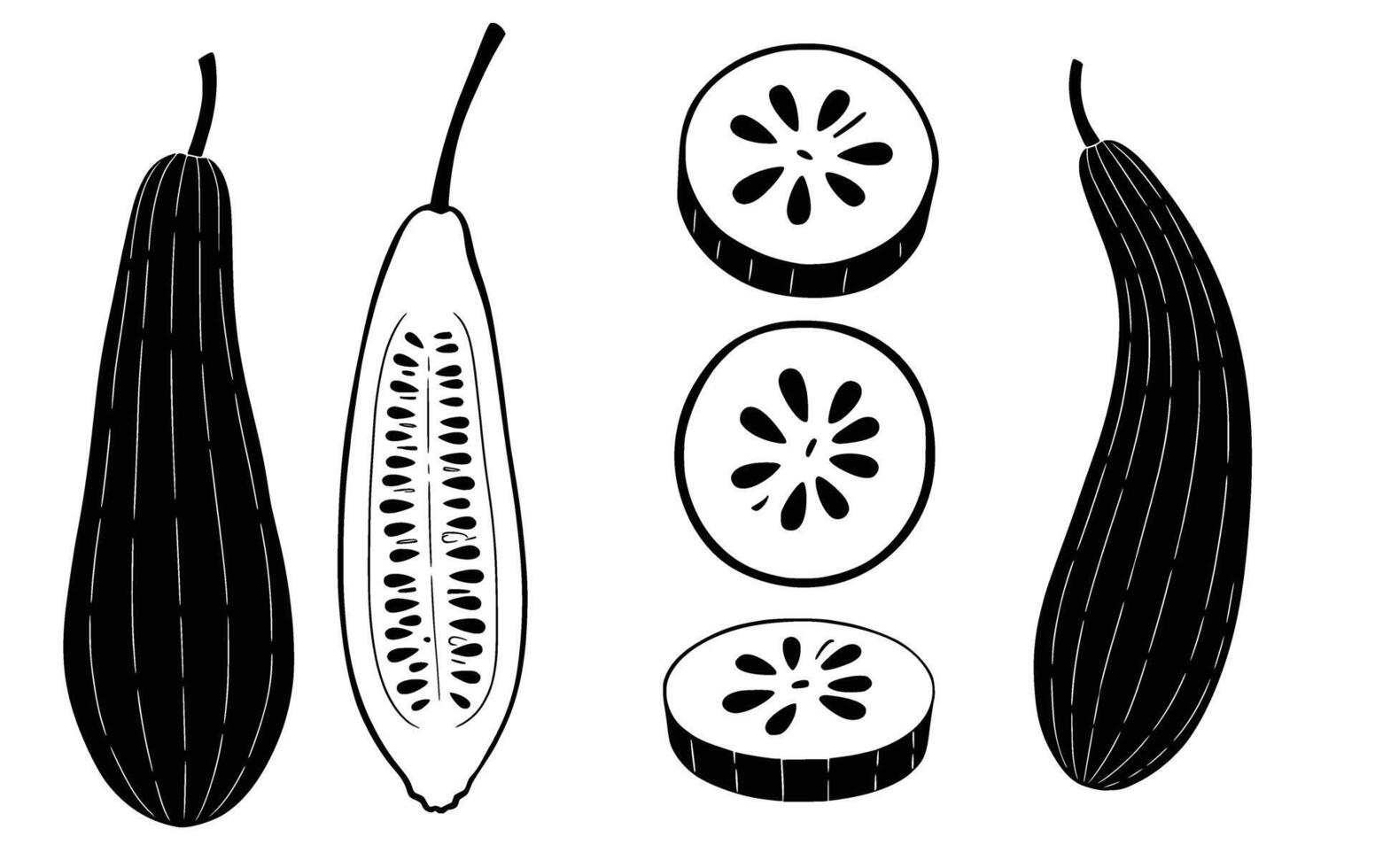 A monochrome depiction showcases an assortment of cucumbers, presented in various forms such as whole fruit and sliced pieces, displaying their internal structure vector
