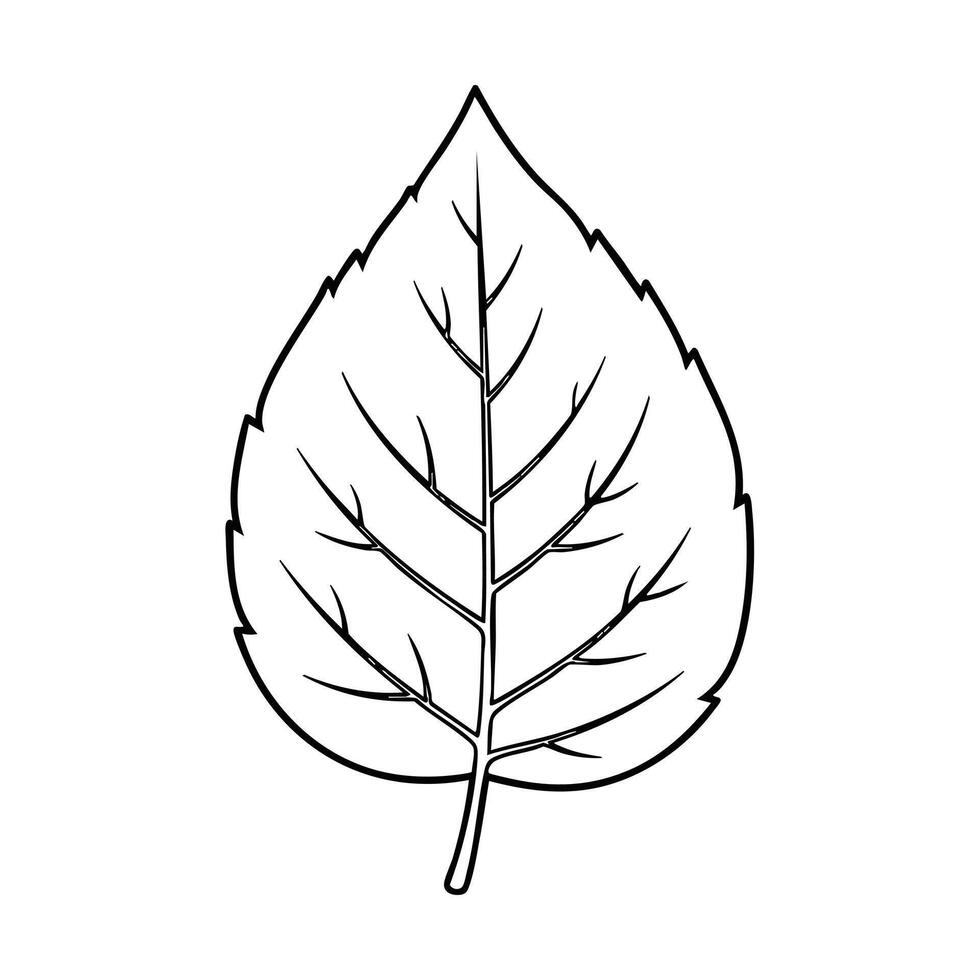 Detailed line drawing of a single leaf with visible veins and a pointed tip, showcasing natural botanical structure and intricate details vector