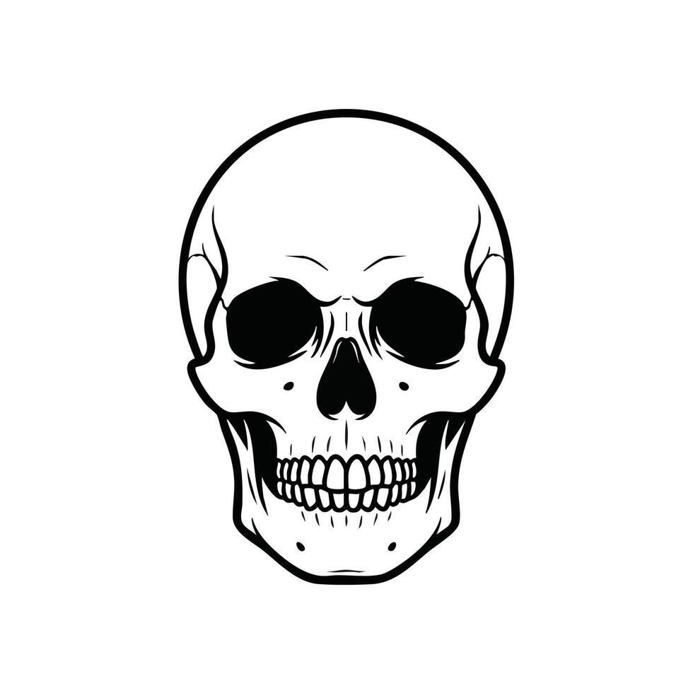 Detailed black and white of a human skull with intricate line work and realistic features emphasizing anatomy and structure vector