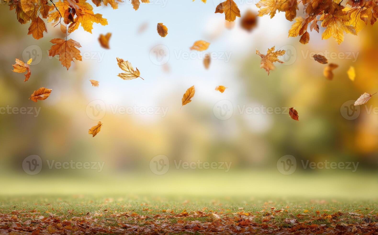 Falling autumn leaves create a serene scene in a blurred forest setting during the season change photo