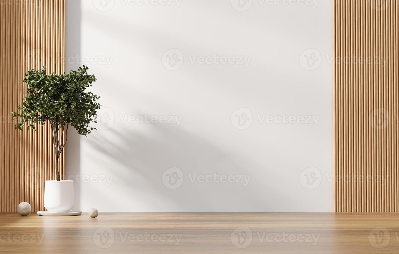 White and wood wall empty space background with plant for architecture showing space 3d rendering photo