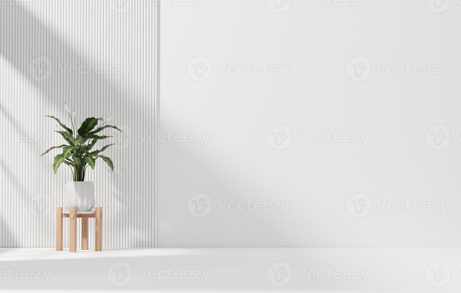 White wall empty space background with plant for architecture copy space showing space 3d rendering photo