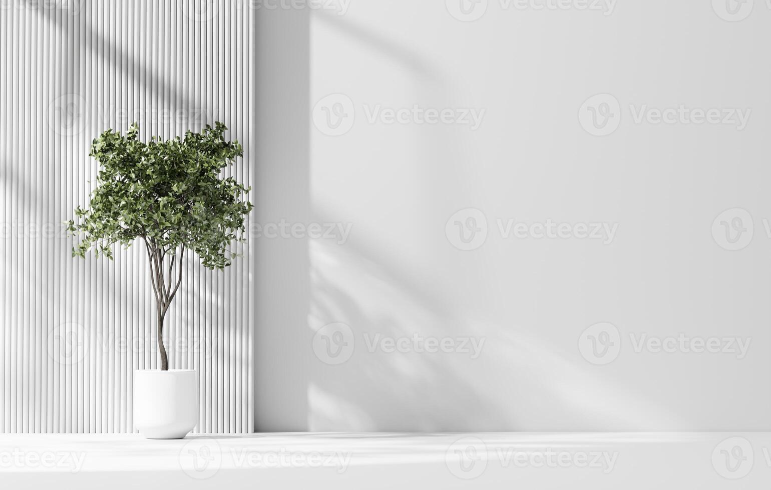 White wall space empty background with plant for architecture showing space 3d rendering photo
