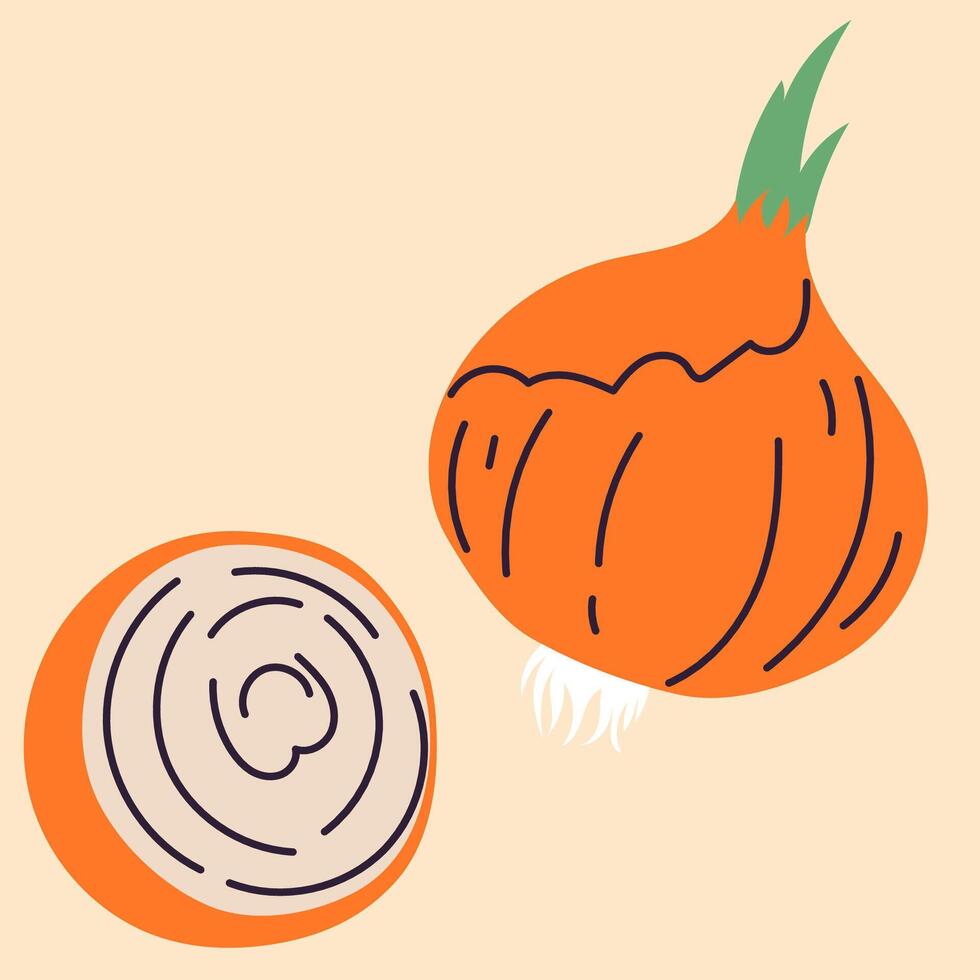 Hand-drawn onion illustration in flat, doodle, minimalist style. Simple design featuring whole onion, slices and branches. vector
