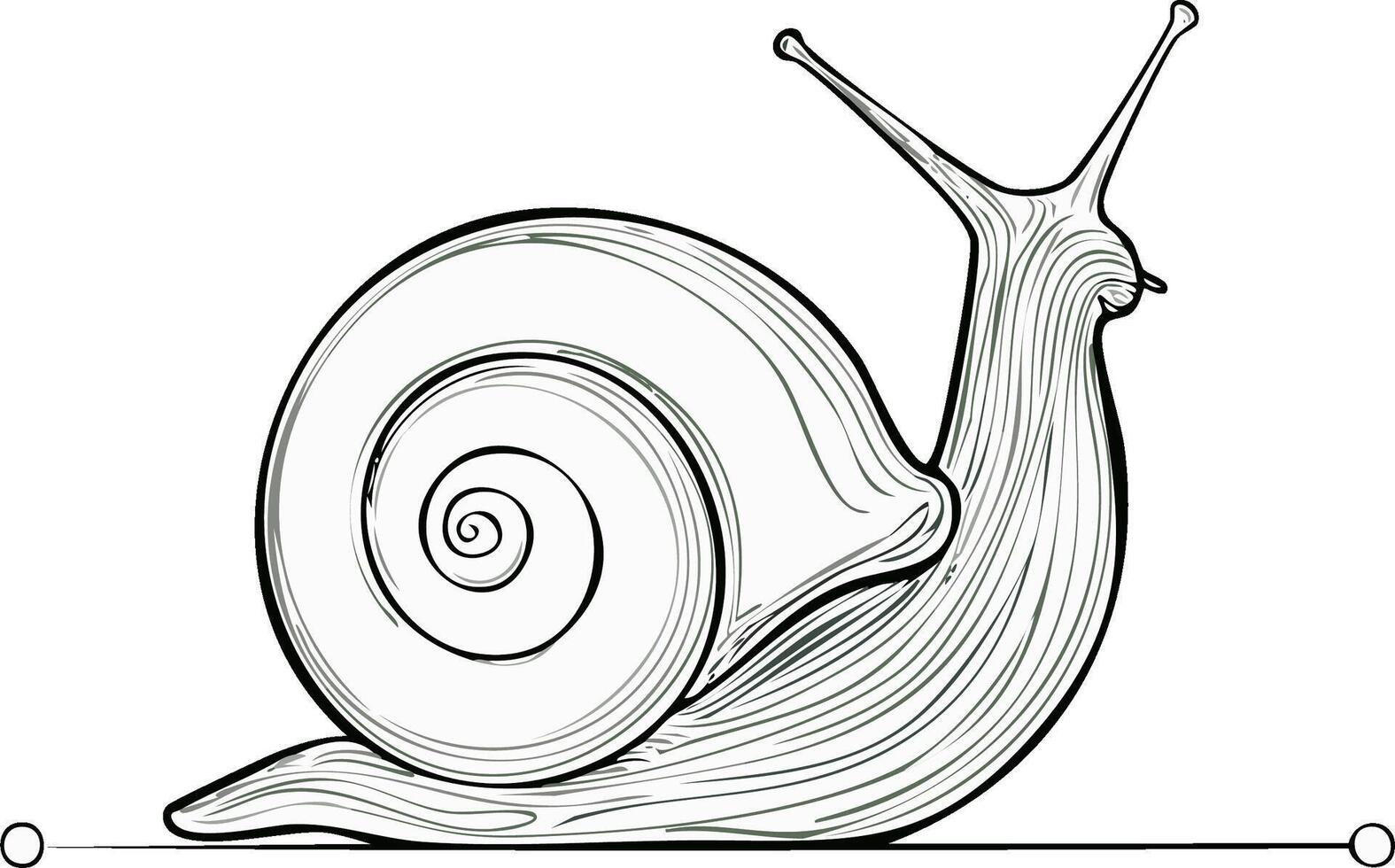 Simple elegant snail line drawing with detailed spiral shell and extended eyestalks vector
