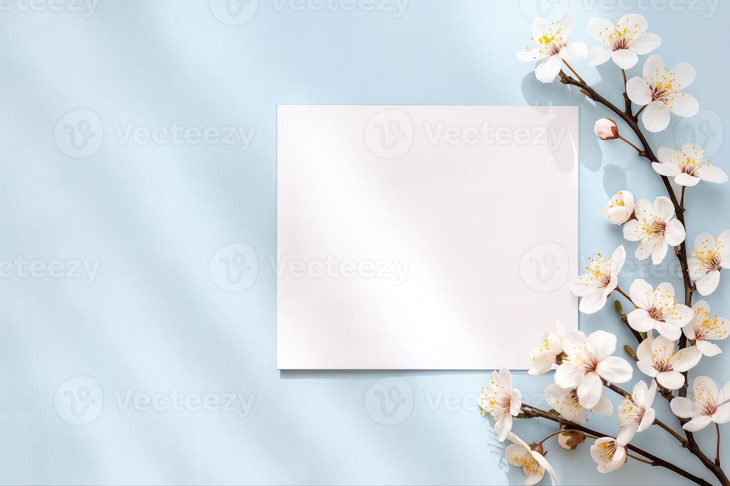 Cherry Blossoms Surrounding a Blank Square Card on a Light Blue Background with Soft Natural Light and Shadow Patterning photo