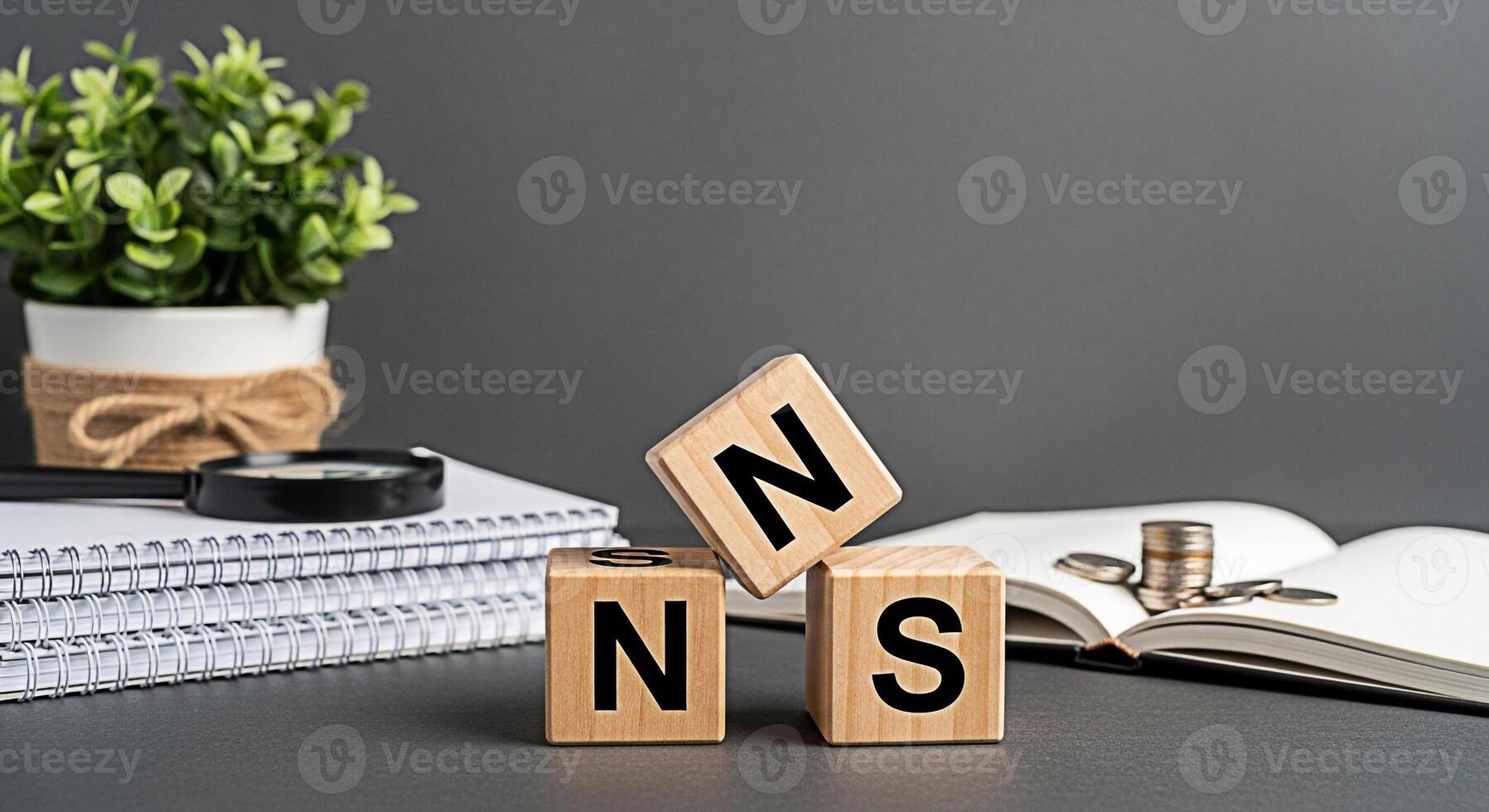 Wooden blocks displaying N and S letters on a desk symbolizing North and South directions alongside notebooks a plant and coins creating a conceptual image for navigation and financial planning photo