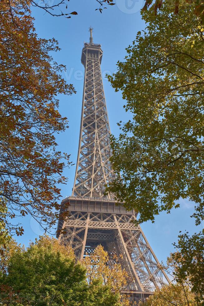Eiffel Tower in Paris, seen from a narrow street with classical architecture and autumn trees as a legacy of the World's Fair photo