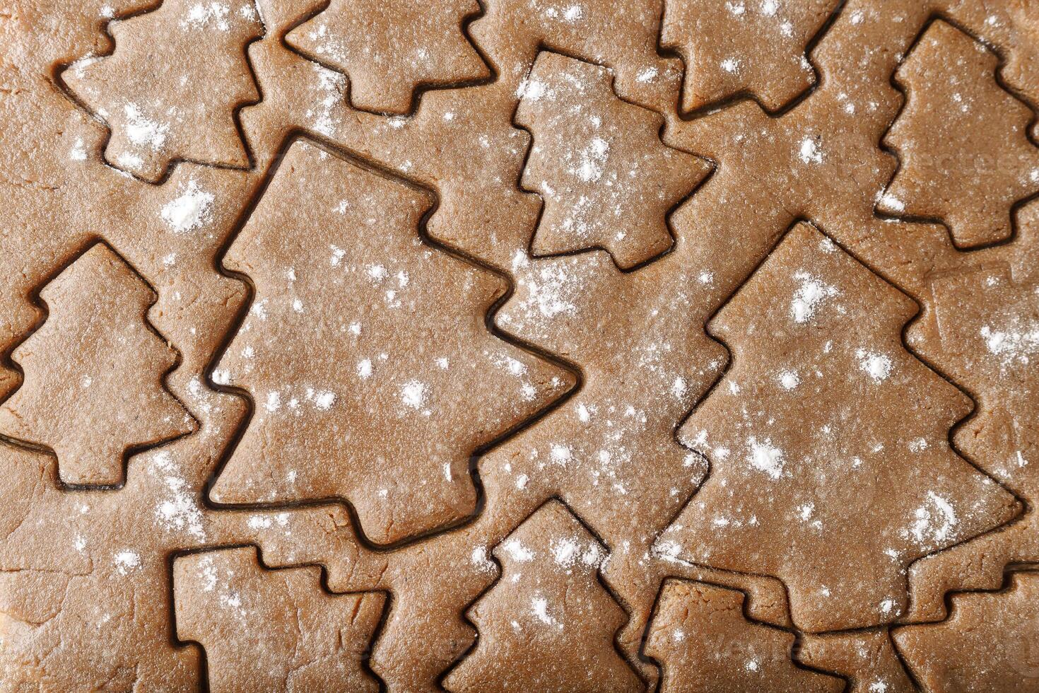Cooking ginger cookies, Christmas and New Year traditional cookies in shape of Christmas fir tree, raw rolled out dough with cut out dough figures, close up texture, top view, pattern on dough photo