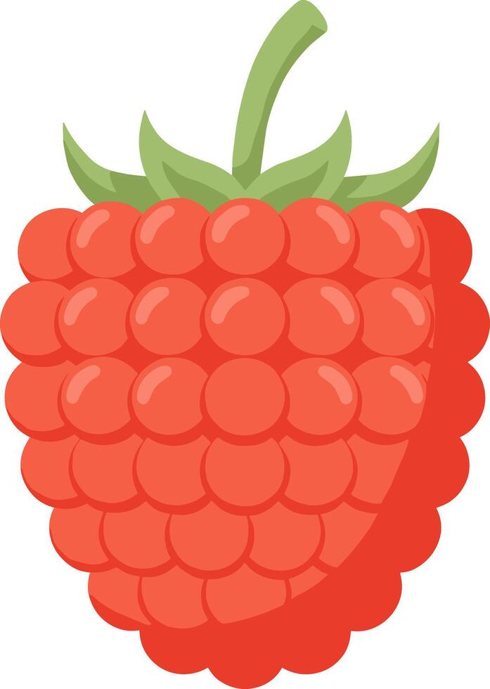 Simple Flat Style Raspberry Fruit Isolated on White Background Icon vector