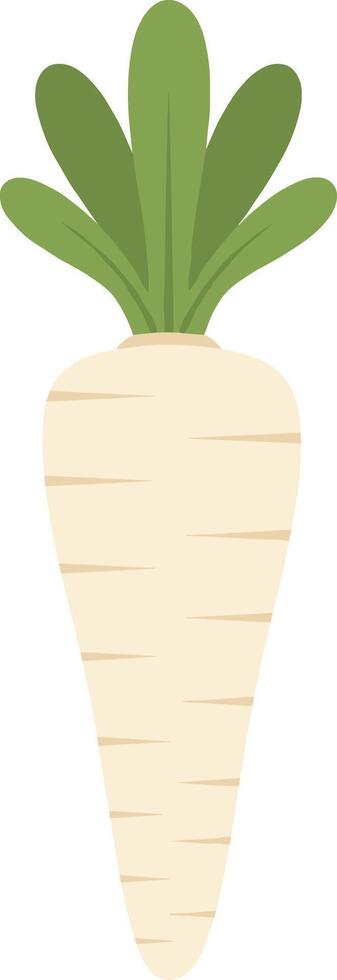 Flat Simple Parsnip with Green Leaves Fresh Natural Vegetable Icon vector